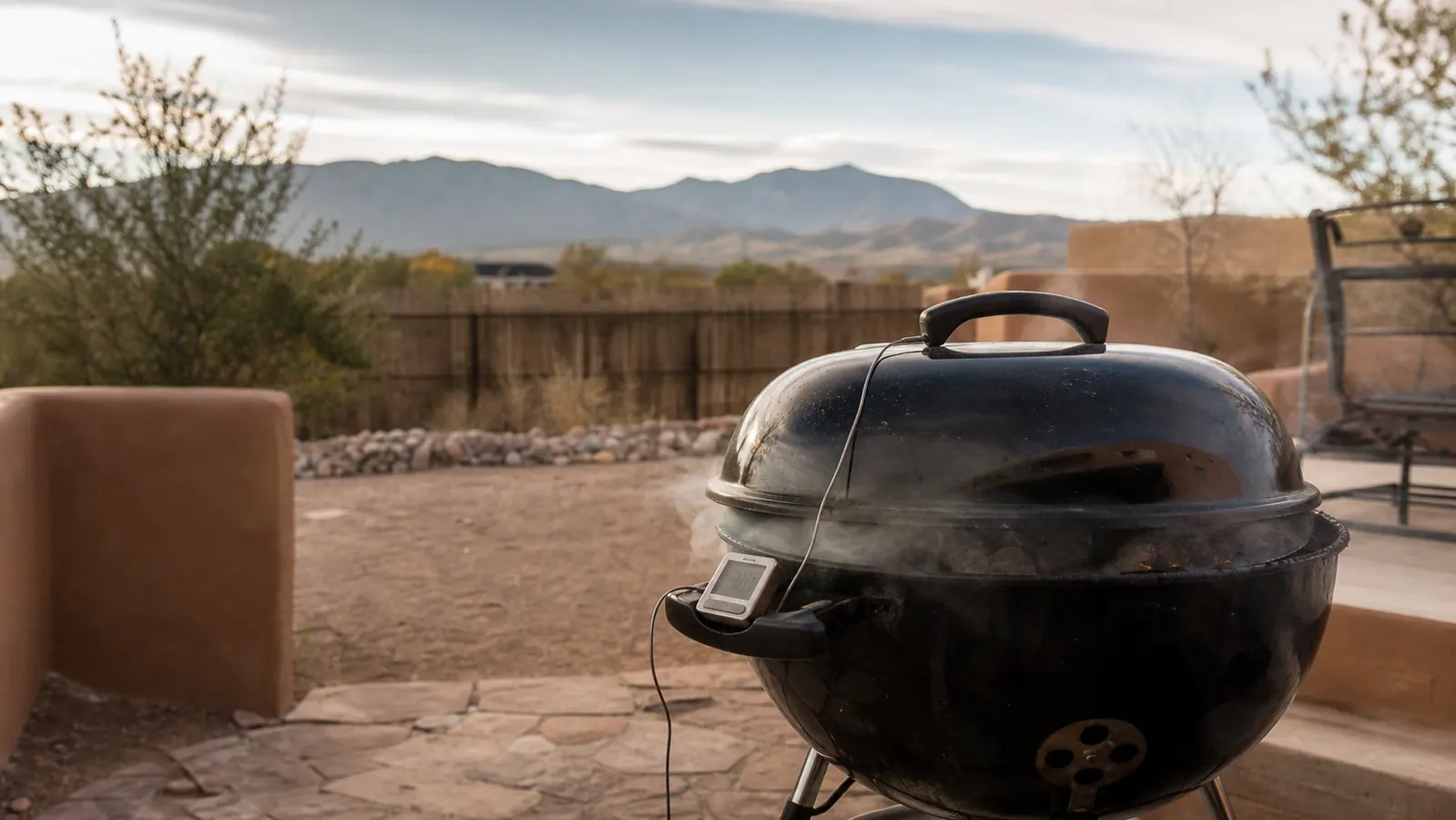 10 Reasons a Wireless Meat Thermometer Is Worth It
