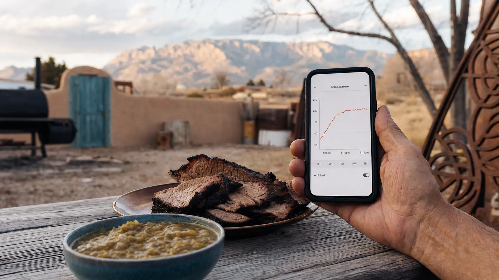 A phone screen showing a temperature graph app held next to a plate of sliced brisket on an outdoor table