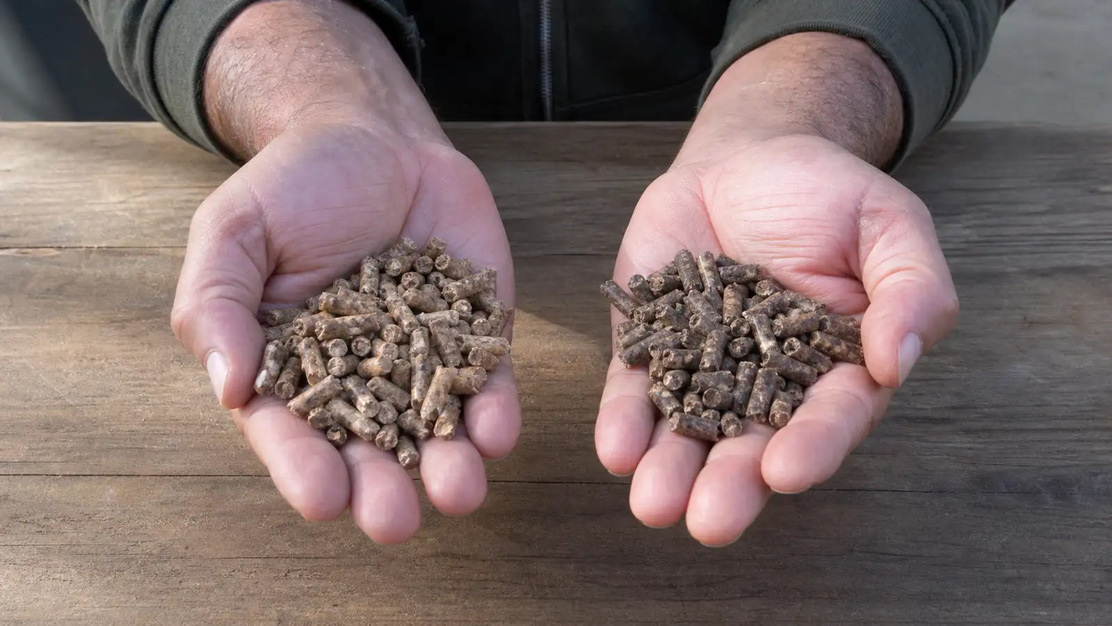 Two handfuls of wood pellets from different bags held side by side for a color and texture comparison